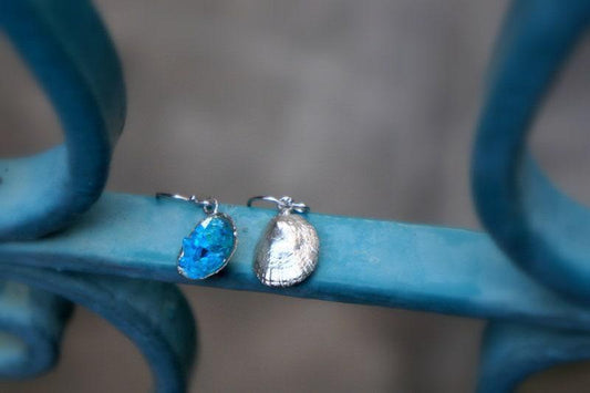 Real Sea Shell Earrings with Murano, Handmade Nature Jewelry, Beach Dangles, Summer Gift for Vitality & Radiance, Sterling Silver 925