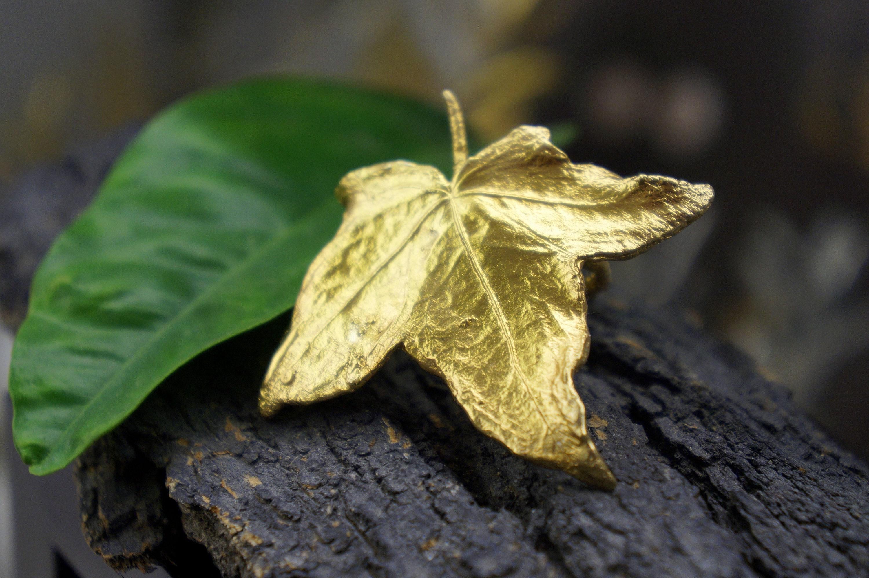 Real Ivy Leaf Gold Ring, Handmade Nature Jewelry, Organic Statement Band, Gift for Health & Luck, Eco Sustainable Sterling Silver 925