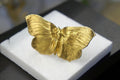 Real Butterfly Ring, 14K Gold Plated Brass Jewelry, Handmade Statement Jewelry Gift, Birthday Gift for Women, Nature Inspired Fashion