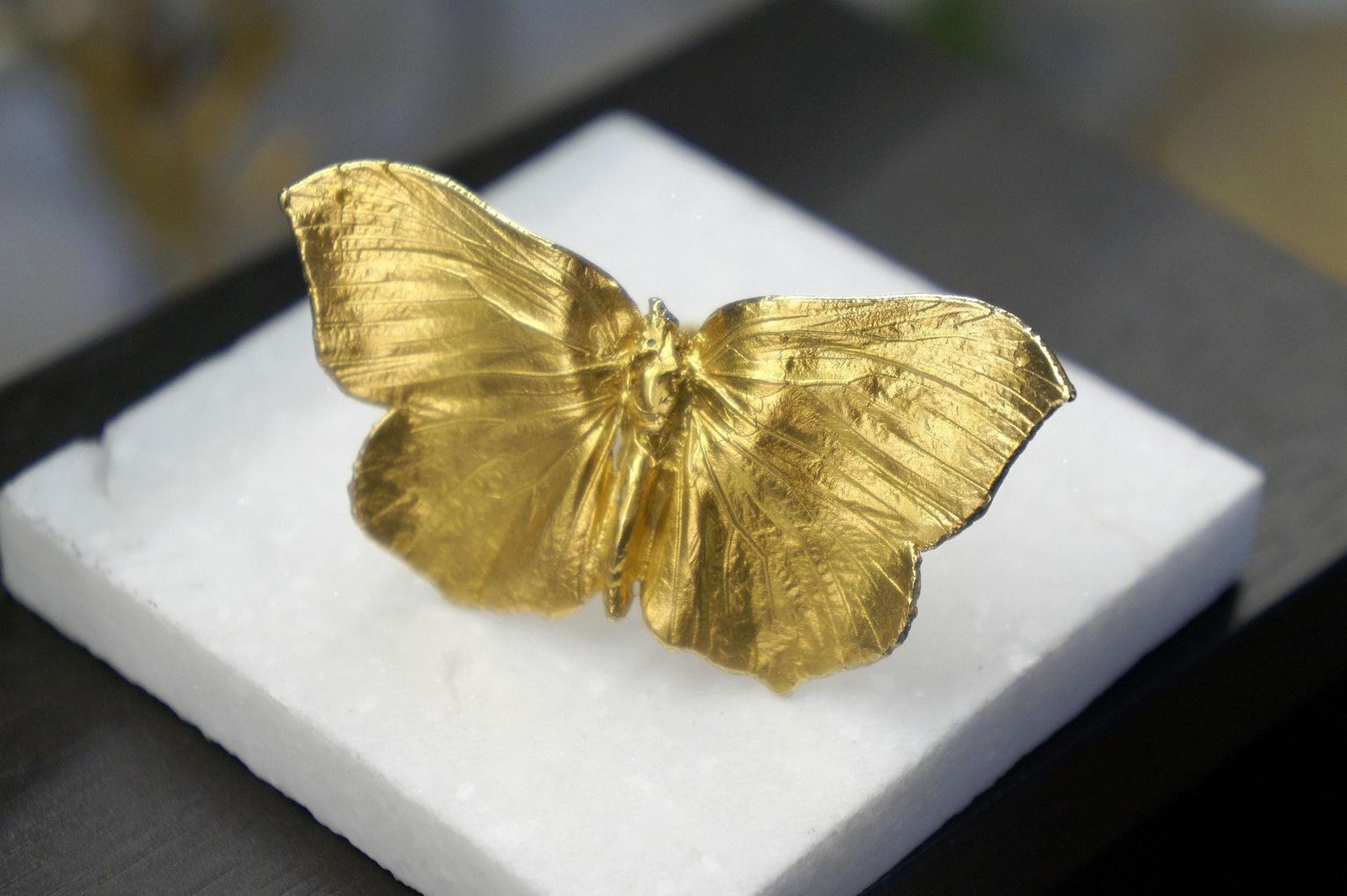 Real Butterfly Ring, 14K Gold Plated Brass Jewelry, Handmade Statement Jewelry Gift, Birthday Gift for Women, Nature Inspired Fashion