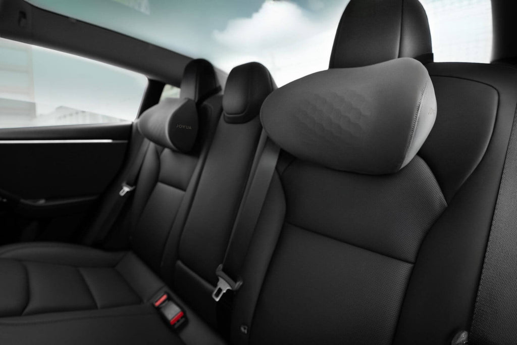 Tesla Neck Pillow