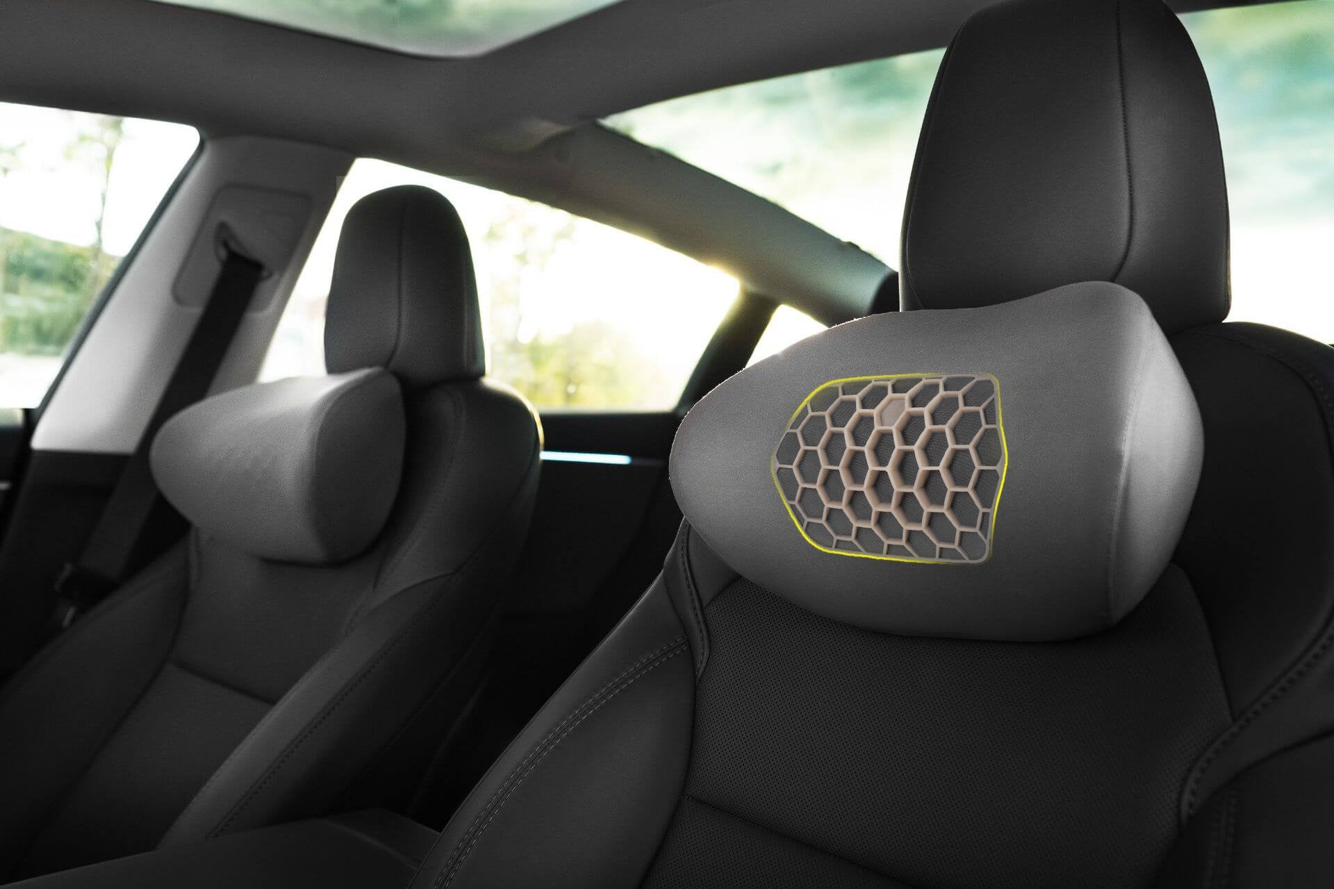 Tesla Neck Pillow